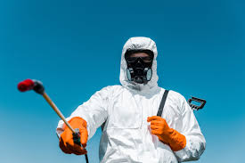 Best Bee and Wasp Removal  in Winchester, IL